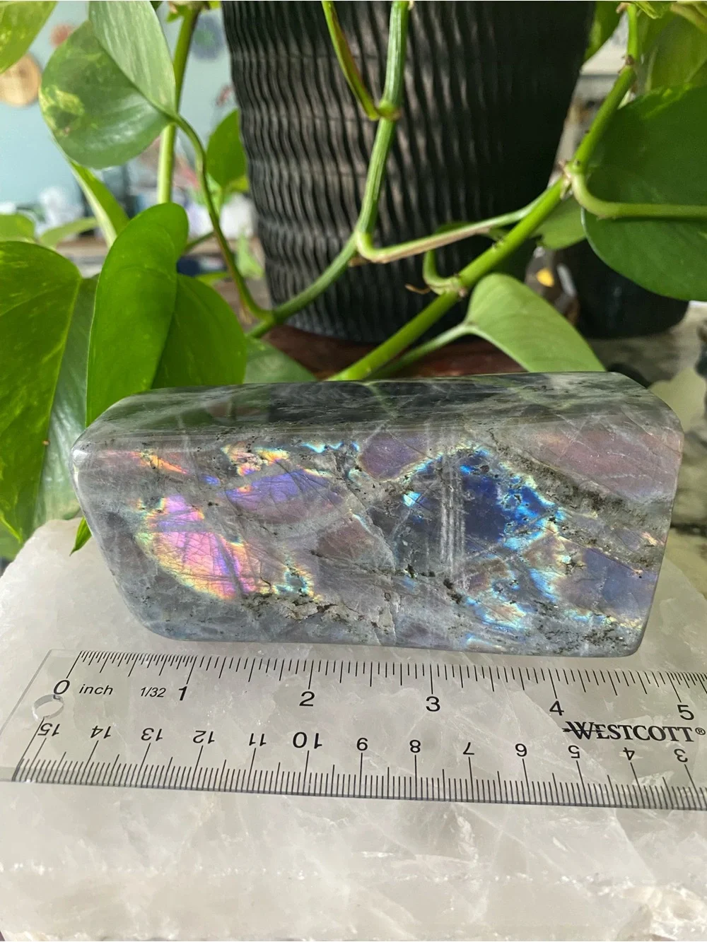 ✨ Double Flash Labradorite Freeform – 4.5 Inches ✨